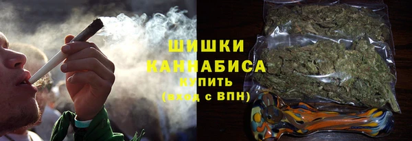 spice Богородицк