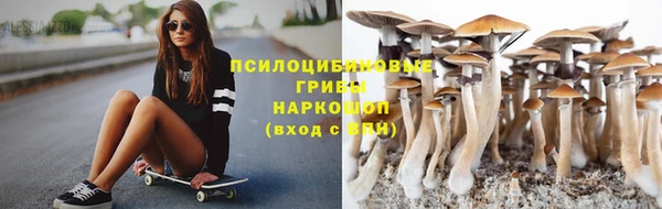не бодяженный Богданович