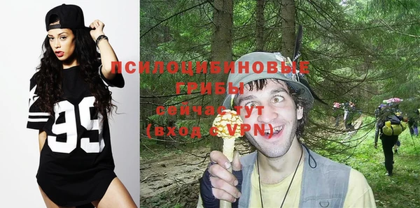 spice Богородицк