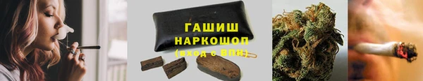 spice Богородицк