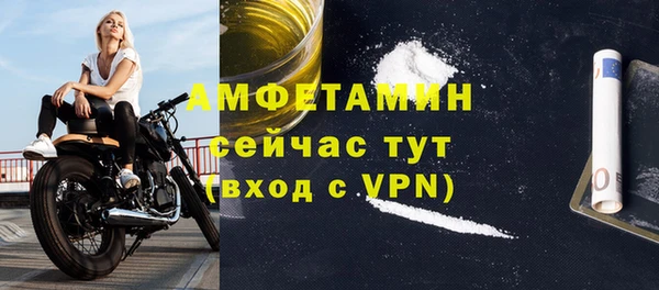 spice Богородицк