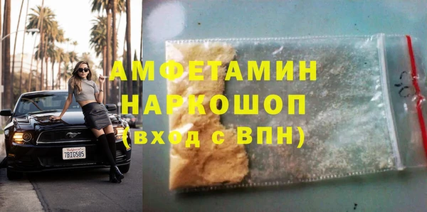 прущие грибы Беломорск