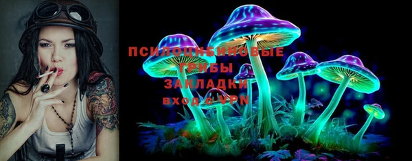 spice Богородицк